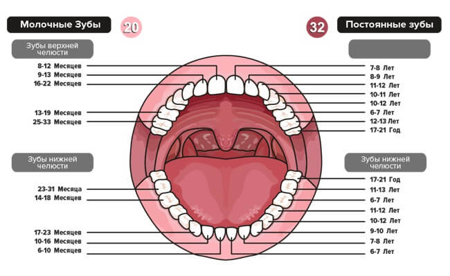 vypadenie-molochnyh-zubov1